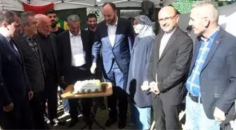 Kuruluş Pastasını Büyükgümüş Kesti