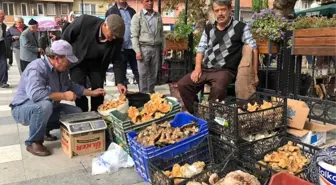 Melki Sındırgılıların Geçim Kaynağı Oldu