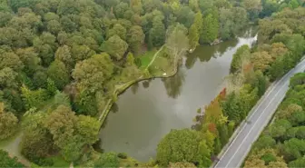 Sonbaharın Renklerine Bürünen Atatürk Arboretumu Havadan Görüntülendi