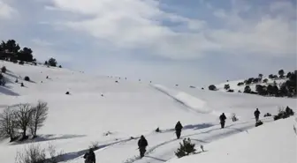 PKK Karadeniz'de Kış Üstlenmesi Yapamadı