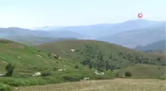 PKK Karadeniz'de Kış Üstlenmesi Yapamadı