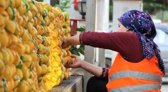 Dörtyol'da Festival Heyecanı Başladı