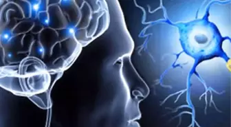 MS, Kaderiniz Olmasın!