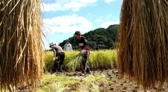 Japonya İşçi Göçünü Kolaylaştırmaya Hazırlanıyor