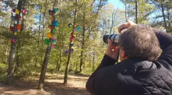 Çoşkun Aral, Ormanya'yı Çok Beğendi