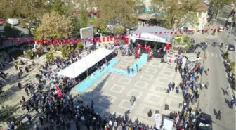 Orhangazi Zeytin Festivali'nde 40'ıncı Yıl Coşkusu