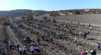 Fidanlar Fidanlarla Büyüyor' Projesi ile Bin Fidan Toprakla Buluştu.