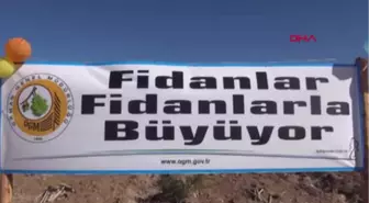 Burdur'da Fidan Dikim Etkinliği