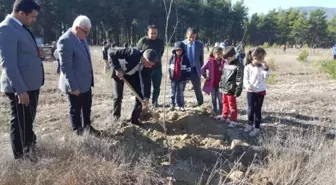 Kaş'ta Fidanlar Toprakla Buluştu