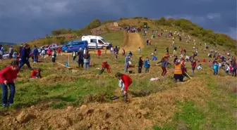 Öğrenci ve Öğretmenler Birlikte Fidan Dikti