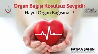 Organ Bağışı Çağrısı