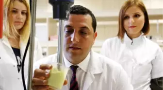 Avokadoyla Kolesterolsüz Mayonez Ürettiler