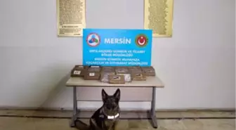Mersin Limanı'na Demirleyen Gemide 39 Kilo Kokain Ele Geçirildi