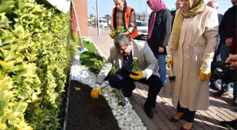 Bilecikliler Günü'nde 11 Bin 111 Çiçek Toprakla Buluştu