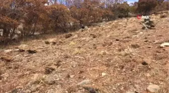 Çatak'ta Toprağa Gömülü Eyp ile Çok Sayıda Yaşam Malzemesi Ele Geçirildi