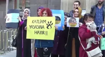 Hayvanlara Yönelik Suçlar TCK'ya Göre Cezalandırılsın'