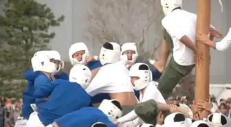 Japonya'da Geleneksel 'Direk Devirme' Yarışması