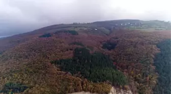 Karadeniz'de Sonbaharda Renk Cümbüşü