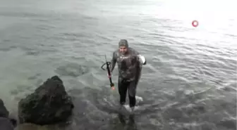 Zıpkınla 10 Kiloluk Levrek Avladı