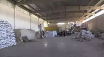 Adıyaman'dan İran'a Sertifikalı Tohum İhracatı