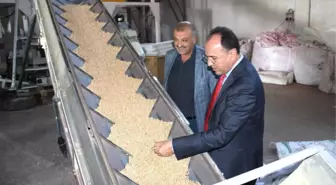Yerli Tohumun Merkez Üssü Adıyaman'dan Yurt Dışına Tohum İhracatı