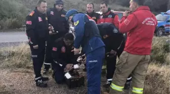 Ayvalık'ta 'Uçak Düştü' İddiası Asılsız Çıktı