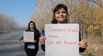 Bu Manzara Hız Kesiyor