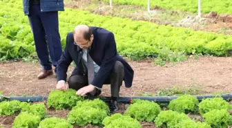 Erzincan'da Sera Yatırımları Devam Ediyor