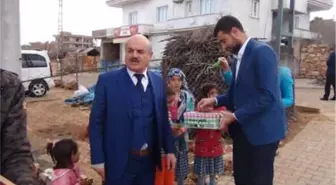 Kayyum Başkan Yardımcısı, AK Parti'den Aday Adayı Oldu