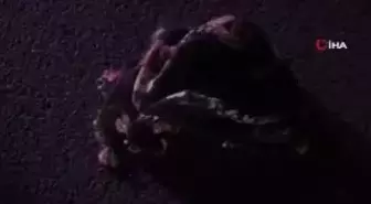Bor'da 3 Aracın Karıştığı Zincirleme Kazada 7 Kişi Yaralandı