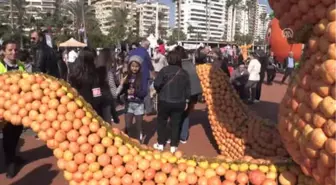 6. Mersin Uluslararası Narenciye Festivali Sona Erdi