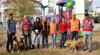 Köpeğin Pati ve Ayaklarını Keseni Görüp de İhbar Edene Para Ödülü Vereceğiz'