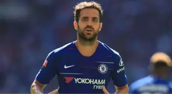 Galatasaray, Chelsea'nin Yıldızı Fabregas İçin Devreye Girdi