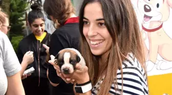 Çorlu Belediyesi Bir Yılda Yüzlerce Hayvanı Tedavi Etti