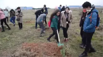 İstanbul'dan Gelip Çerkezköy'de Fidan Diktiler