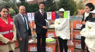 Derik'te, 15'i Suriyeli, 40 Kadına 120 Arı Kovanı