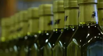 Her 100 litre zeytinyağının 37'sini ABD aldı