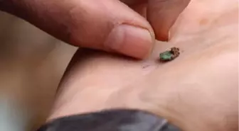 Bodrum'da Selin Ardından Lahit Ortaya Çıktı