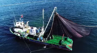 Doğu Karadenizli Balıkçılar Hamsiyi Batı Karadeniz'de Arıyor