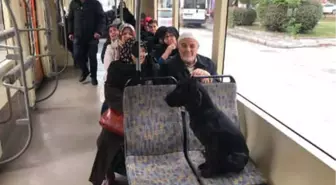 Sokak Köpeği, Duraktan Tramvaya Bindi