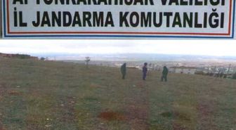 Direkleri Keserek Çalan Şahıs Yakalandı