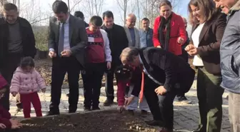 Gökçebey'de Öğrenciler Okullarda Lale Diktiler