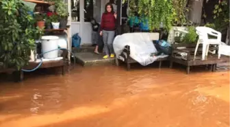 Demre'de Şiddetli Yağış Seralarda Zarara Yol Açtı