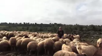 Aa'nın 'Yılın Fotoğrafları' Oylaması