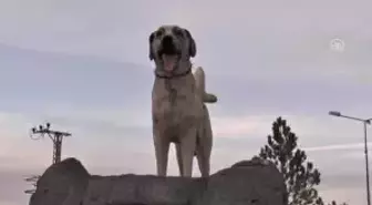 Kangalların Dişisine 'Zarif' Erkeğine 'Heybetli' İsimler