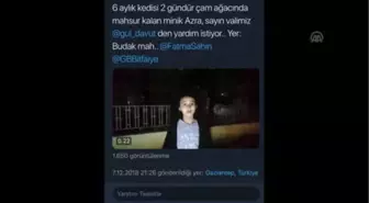 Küçük Elleriyle Hayvanlara Leğenden 'Yuva' Yaptı