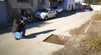 Herkes 'Çingene Kızı' Mozaiğini Konuşurken İznik'teki Mozaik Gün Işığına Çıkarılmayı Bekliyor