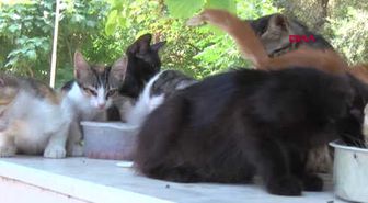 Adana 'Kedi-Köpek Tüyünden Korkmayın'