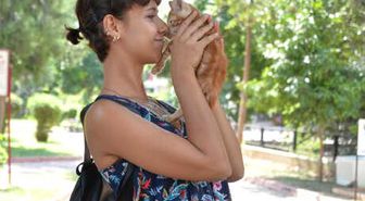 Kedi-köpek Tüyünden Korkmayın'