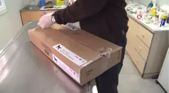Geri Dönüşüme Ayrılan Beyaz Eşyalar Felçli Köpeklere Yürüteç Oluyor
